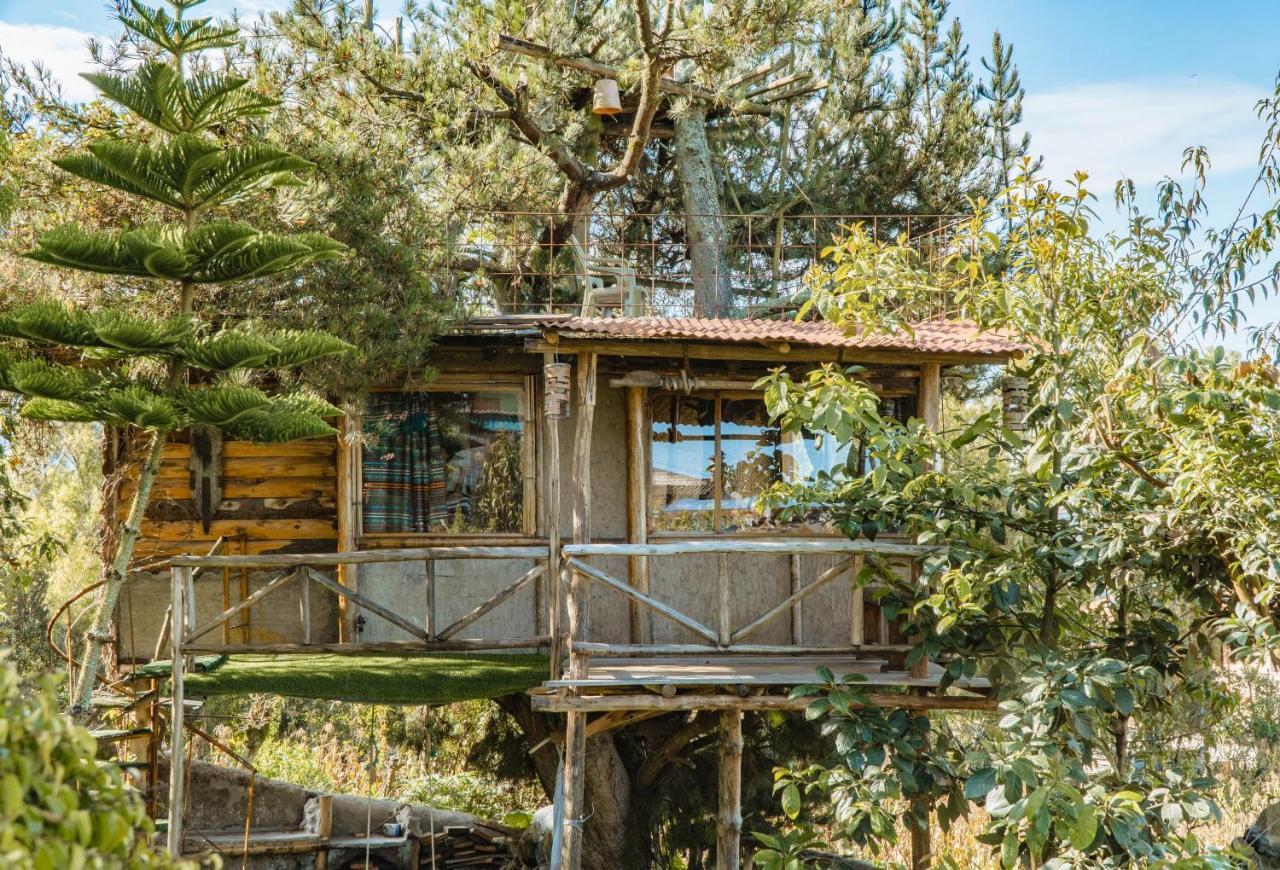 Campo Lago Hospedaje San Pablo Del Lago Экстерьер фото